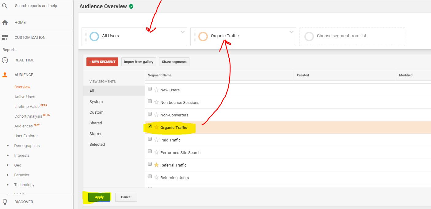 trafic-organique-google-analytics